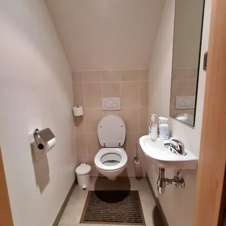 Daire Susberg 3 Luxe Met Zwembad En Sauna Neerpelt