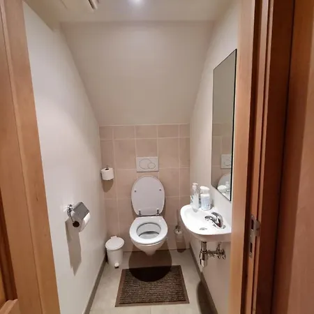 Daire Susberg 3 Luxe Met Zwembad En Sauna Neerpelt