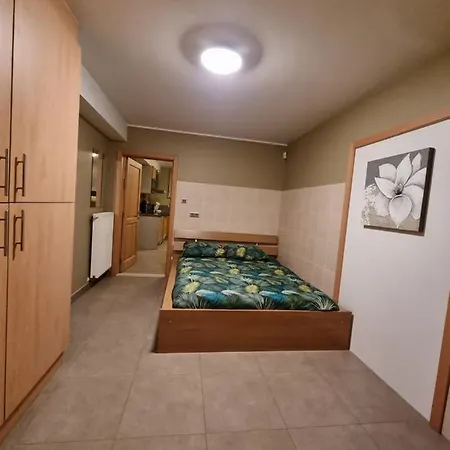 Susberg 3 Luxe Met Zwembad En Sauna *